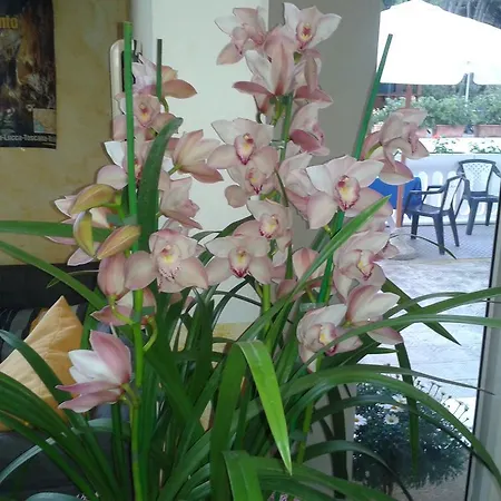 Hotel Sogno