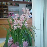 Hotel Sogno