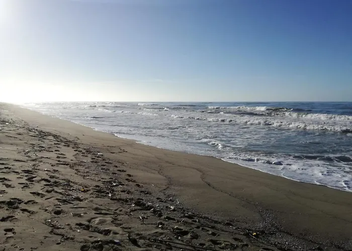 Hotel Sogno Viareggio